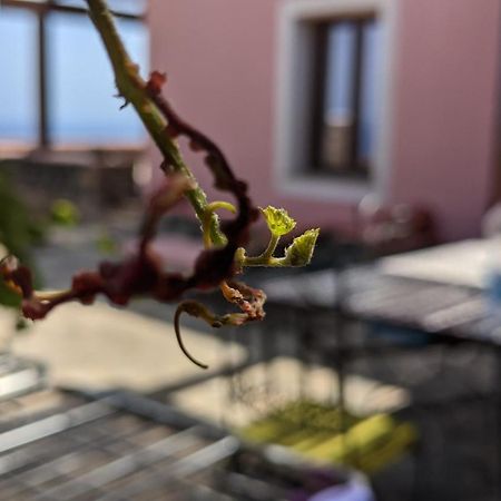 Bed and Breakfast Horizon Pantelleria Campobello Zewnętrze zdjęcie