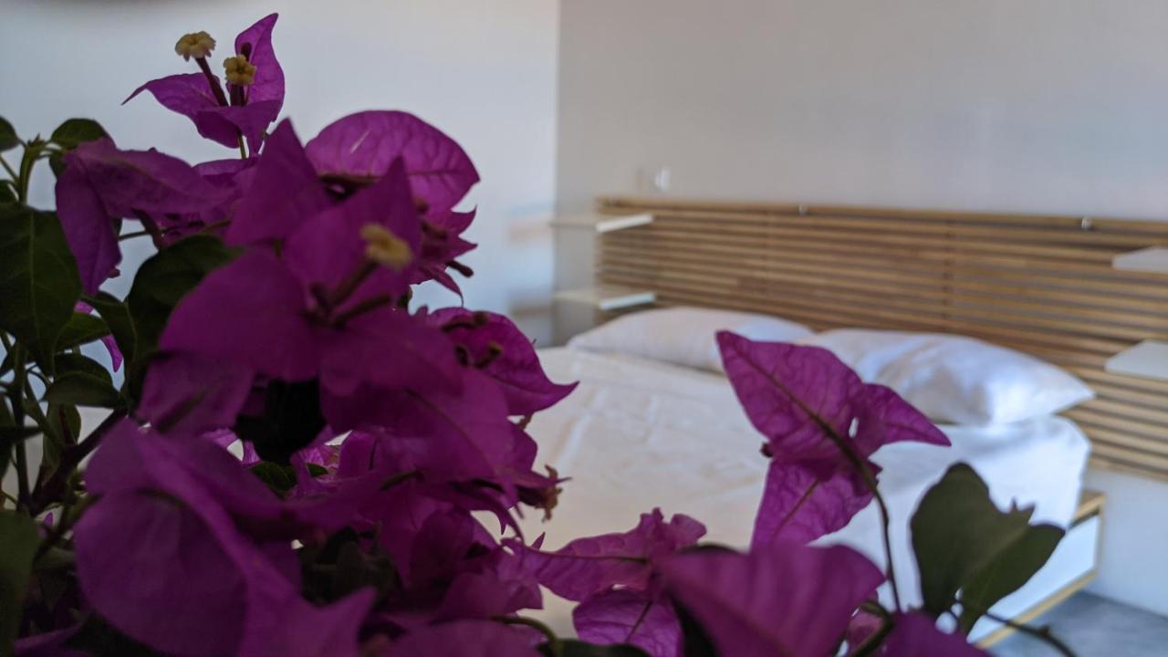 Bed and Breakfast Horizon Pantelleria Campobello Zewnętrze zdjęcie