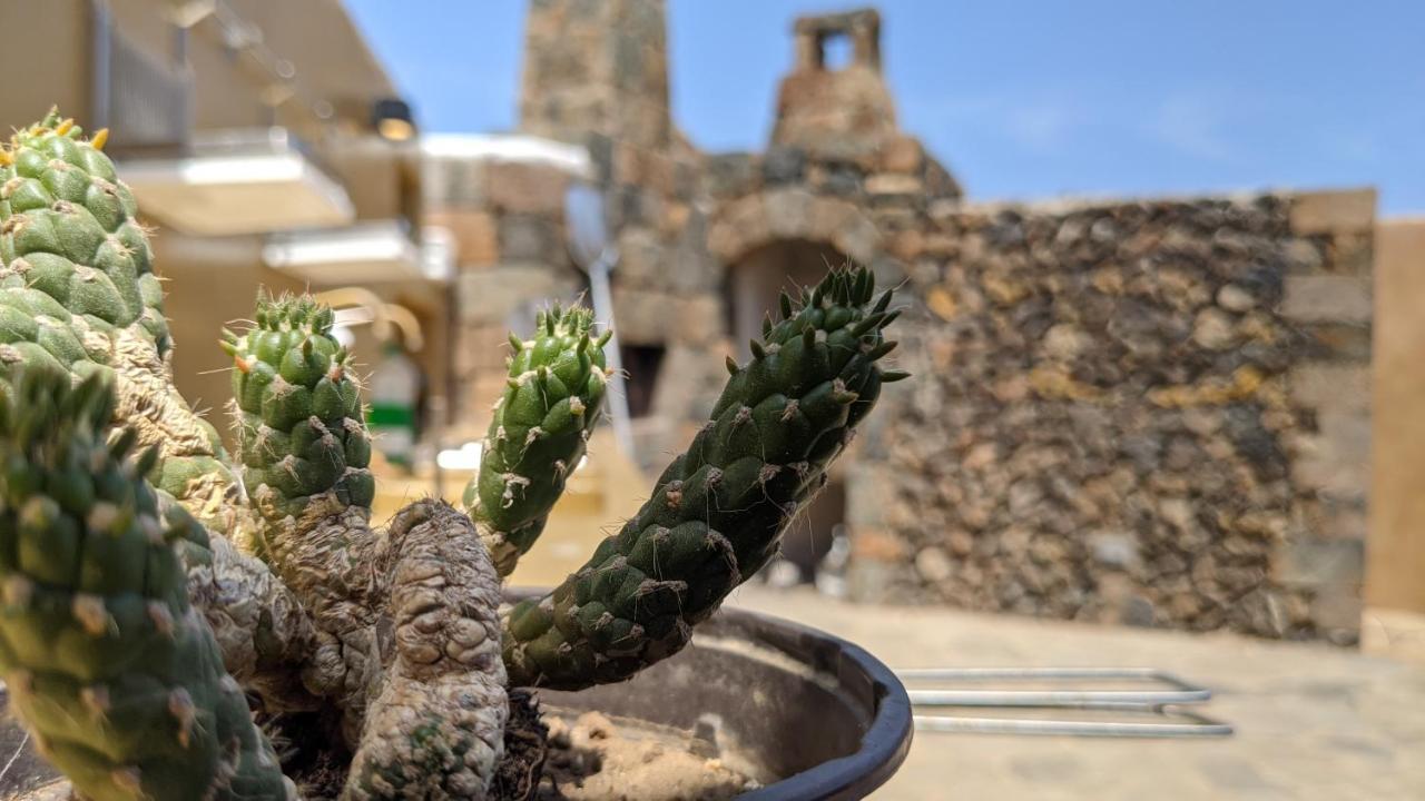 Bed and Breakfast Horizon Pantelleria Campobello Zewnętrze zdjęcie