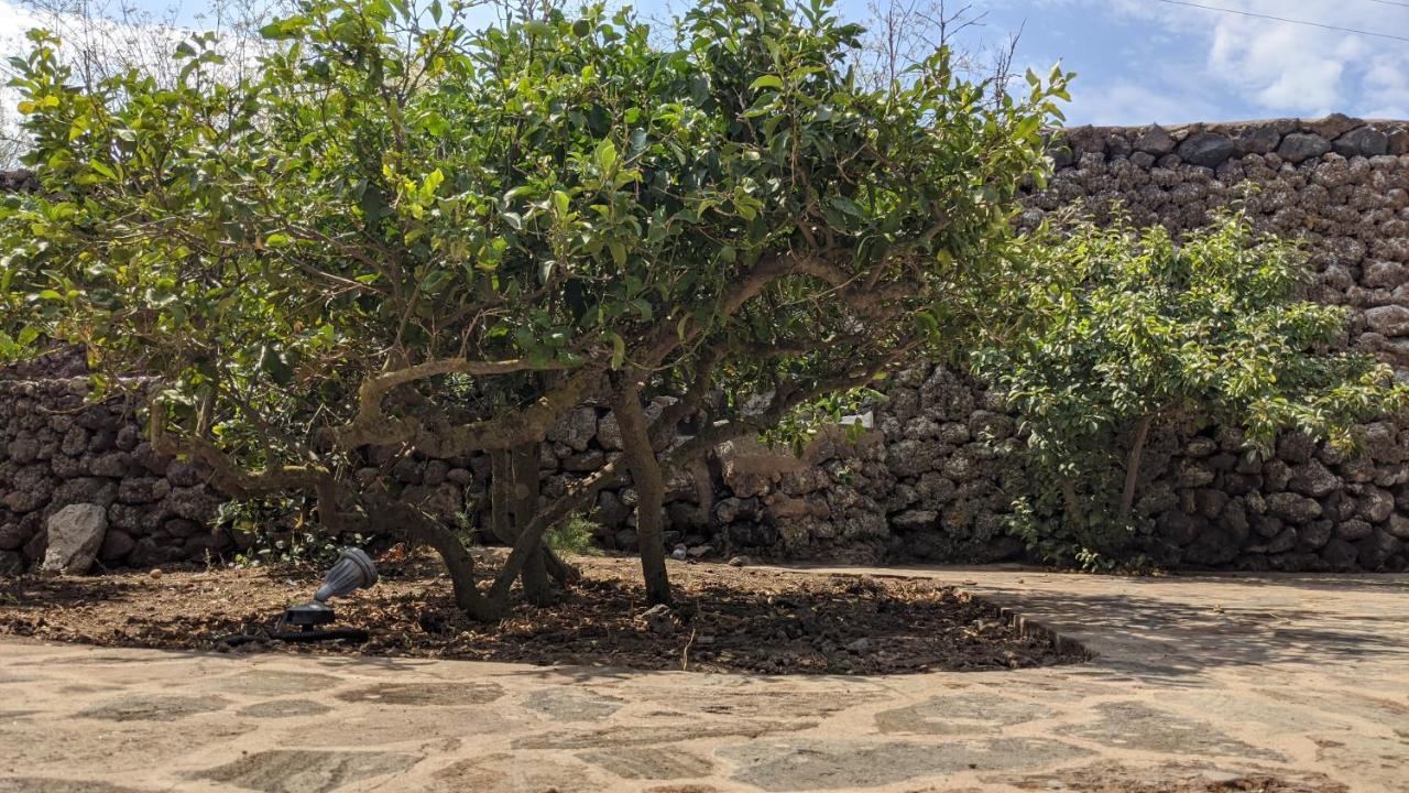 Bed and Breakfast Horizon Pantelleria Campobello Zewnętrze zdjęcie