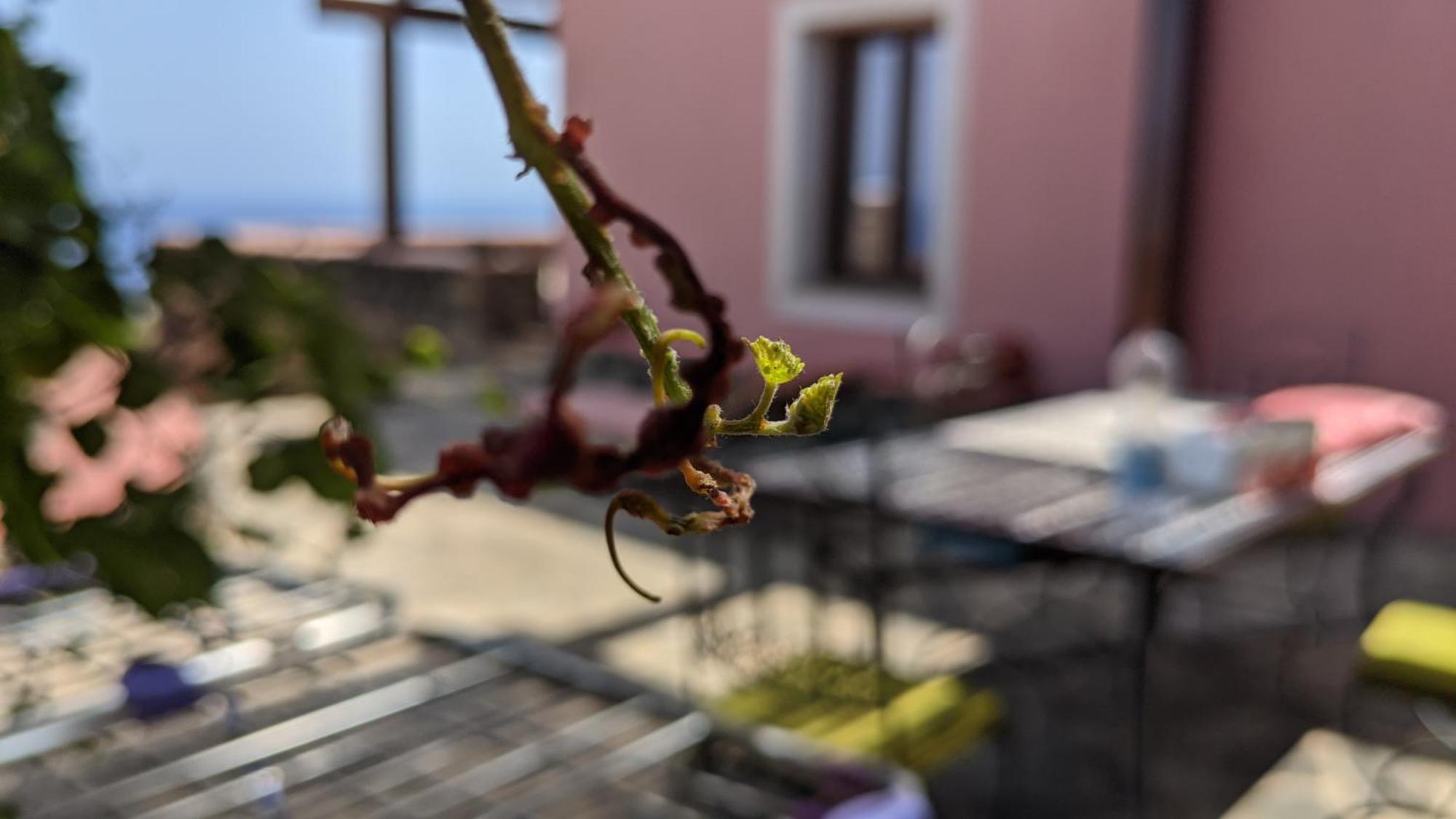 Bed and Breakfast Horizon Pantelleria Campobello Zewnętrze zdjęcie